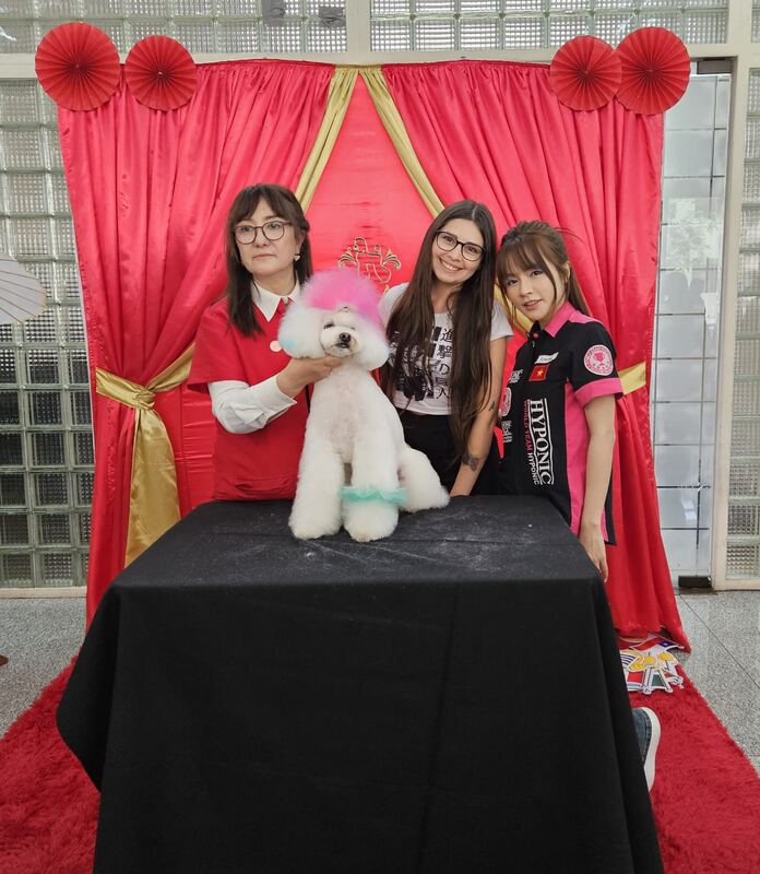 Daniza, groomer profesional de Dany Motitas